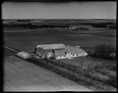 1955